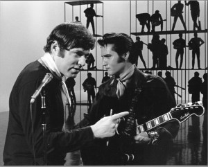 steve no.2 - Version 2