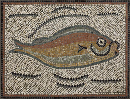 Betsy Gallery - Roman Tunisian Fish web